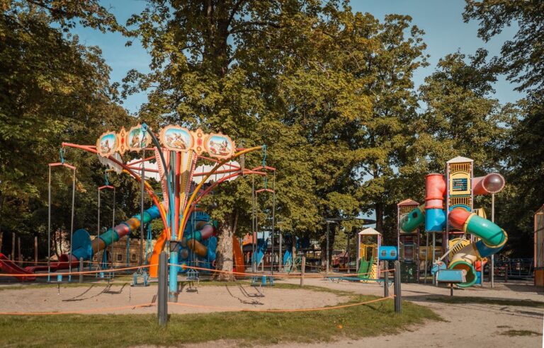 Naar zuidlaren Sprookjeshof schommelmolen groot 768x492