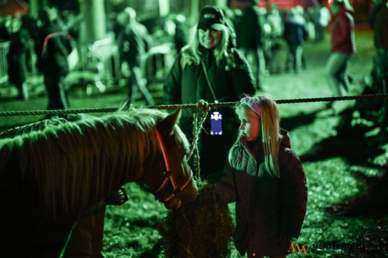 46 29039 4682 1697523511 768x512