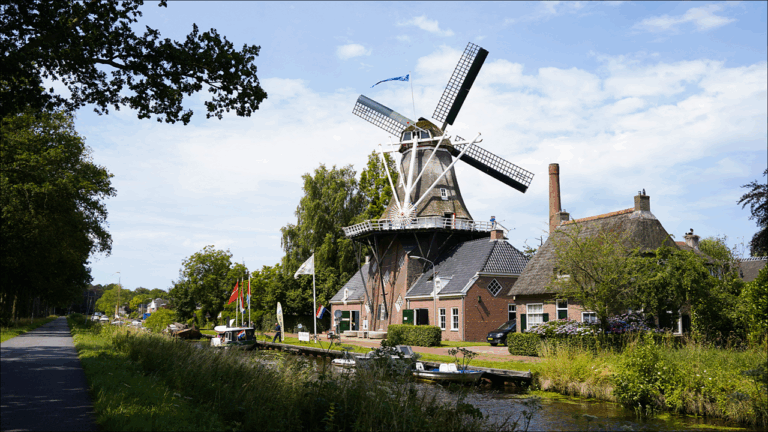 molen 768x432